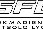 Skelbiama registracija į SFL Cup 7x7 žiemos turnyrą