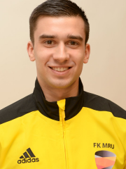 Erikas Grigaitis