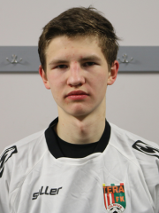 Martin Lisovskij (dubleris)