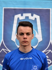 Rokas Motiejūnas