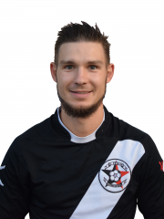 Vilius Stankevičius (dubleris)