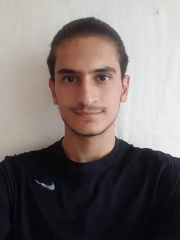 Seyed Arman Taheri