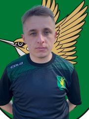 Olgerdas Jesvilas
