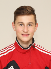 Linas Balandis (dubleris)