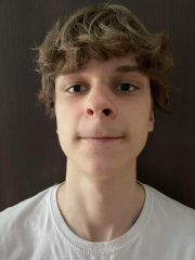 Domantas Čeponis