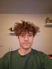 Normantas Sta&scaron;elis