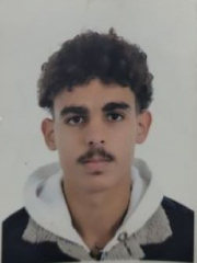 Mohammed el Arbi Mihoubi