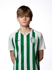 Nicholas Mindaugas Tully