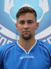 Vytautas Palšys